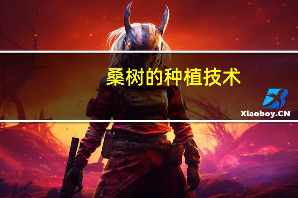 桑树的种植技术：北方地区分春秋两季栽种