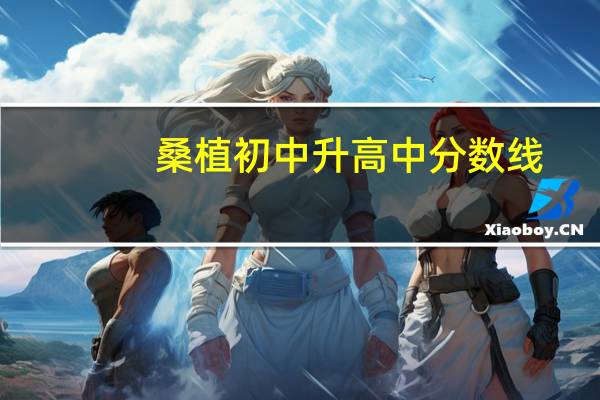 桑植初中升高中分数线