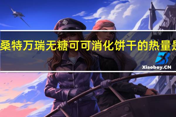 桑特万瑞 无糖可可消化饼干的热量是多少