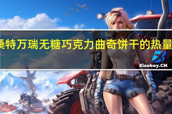 桑特万瑞 无糖巧克力曲奇饼干的热量是多少