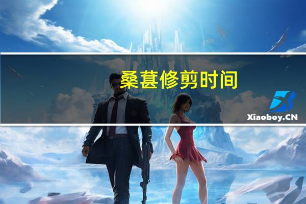 桑葚修剪时间