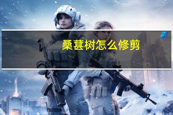 桑葚树怎么修剪