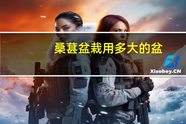 桑葚盆栽用多大的盆