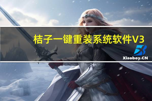 桔子一键重装系统软件 V3.0 官方版(桔子一键重装系统软件 V3.0 官方版功能简介)