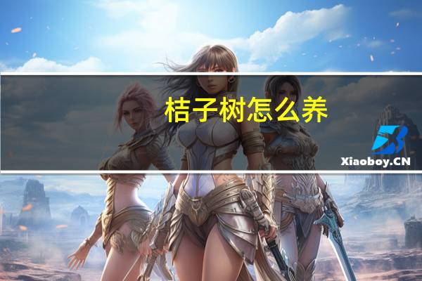 桔子树怎么养：桔子树性喜温暖