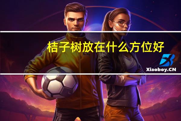 桔子树放在什么方位好