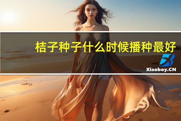 桔子种子什么时候播种最好