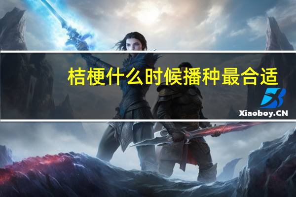 桔梗什么时候播种最合适