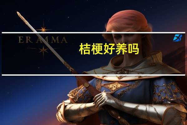 桔梗好养吗