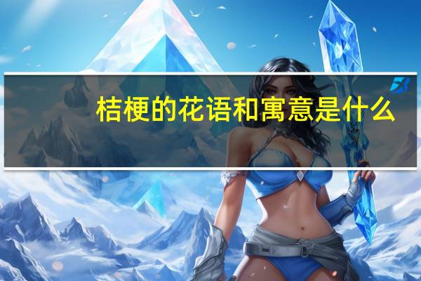 桔梗的花语和寓意是什么