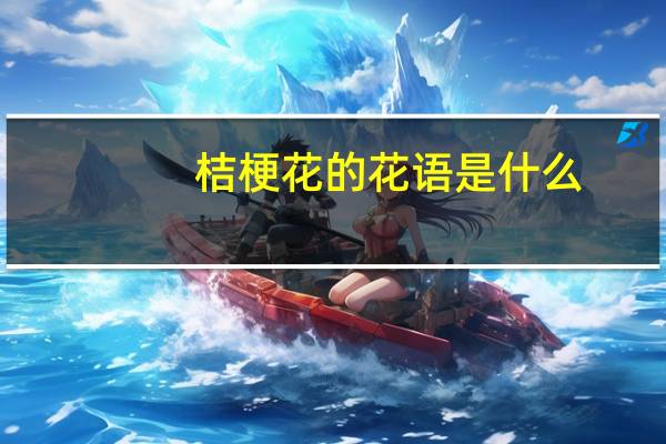 桔梗花的花语是什么?