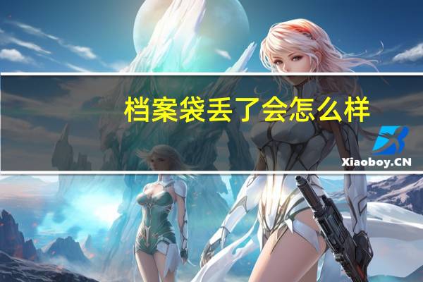档案袋丢了会怎么样
