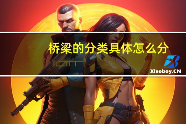 桥梁的分类具体怎么分