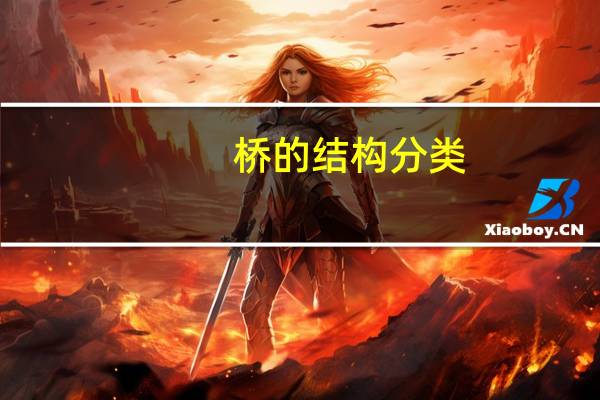 桥的结构分类