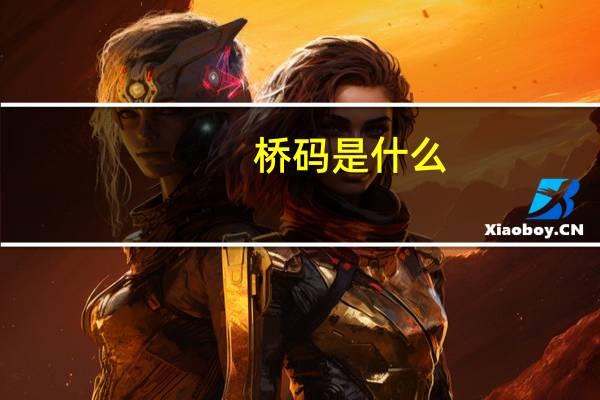 桥码是什么