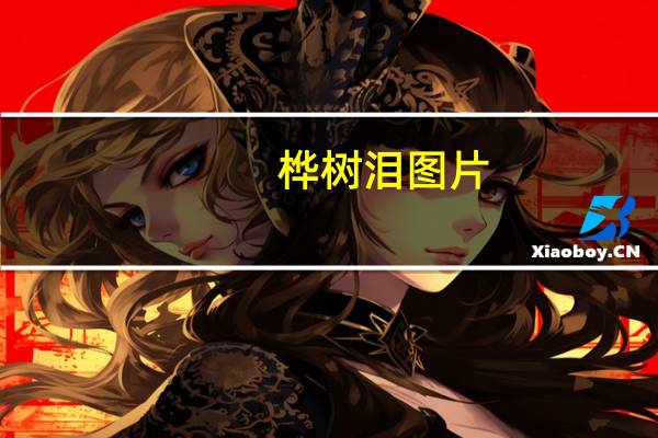 桦树泪图片（桦树泪）