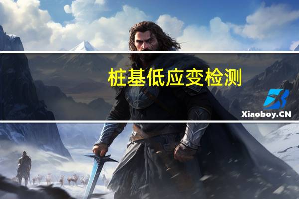 桩基低应变检测（桩基检测方法）