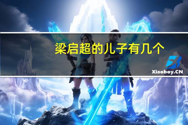 梁启超的儿子有几个