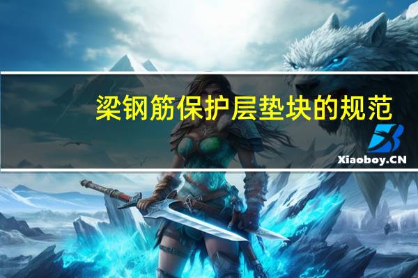 梁钢筋保护层垫块的规范