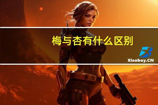 梅与杏有什么区别