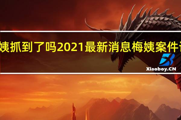梅姨抓到了吗2021最新消息 梅姨案件详细介绍