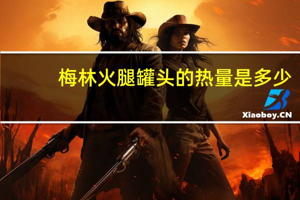 梅林 火腿罐头的热量是多少