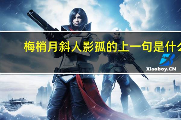 梅梢月斜人影孤的上一句是什么
