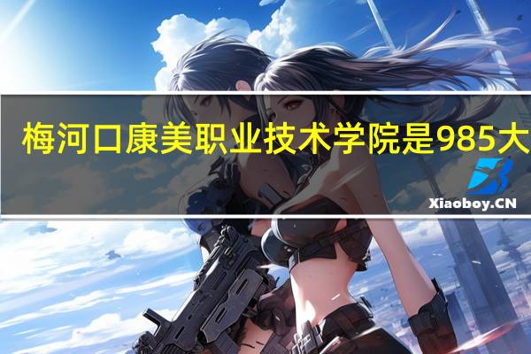 梅河口康美职业技术学院是985大学吗