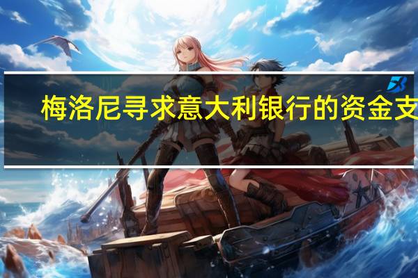 梅洛尼寻求意大利银行的资金支持
