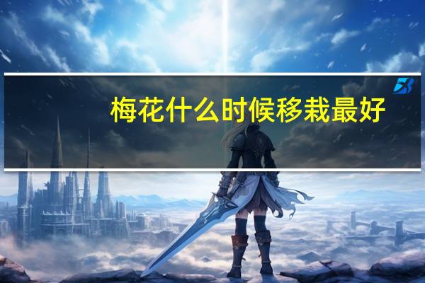 梅花什么时候移栽最好