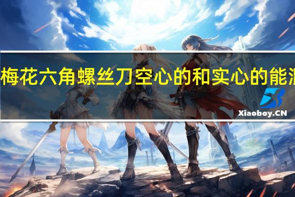 梅花六角螺丝刀空心的和实心的能混用吗