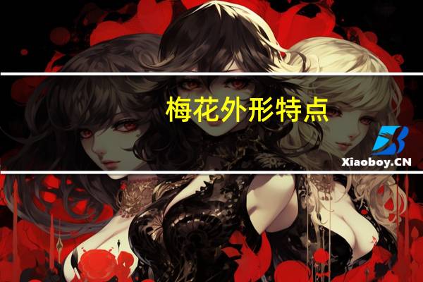 梅花外形特点