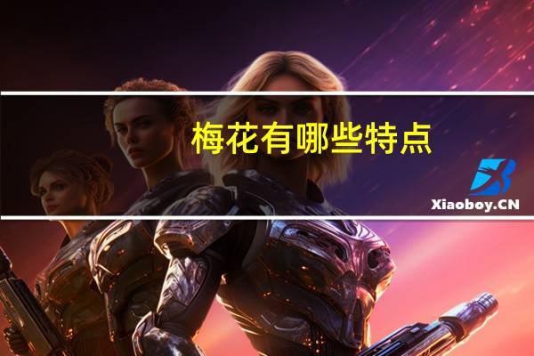 梅花有哪些特点