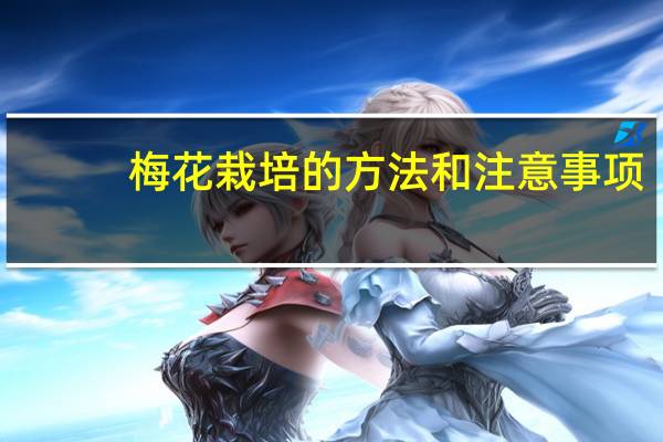 梅花栽培的方法和注意事项