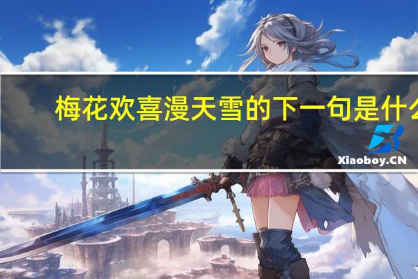 梅花欢喜漫天雪的下一句是什么