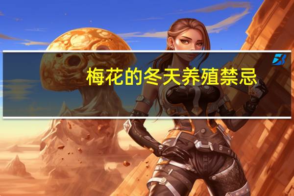 梅花的冬天养殖禁忌