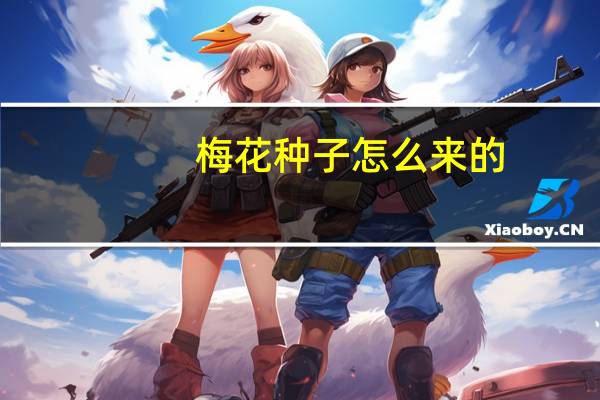 梅花种子怎么来的