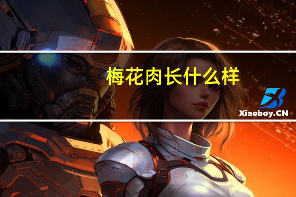 梅花肉长什么样