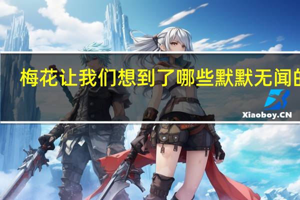 梅花让我们想到了哪些默默无闻的人