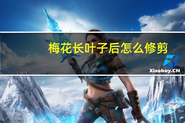 梅花长叶子后怎么修剪