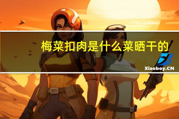 梅菜扣肉是什么菜晒干的