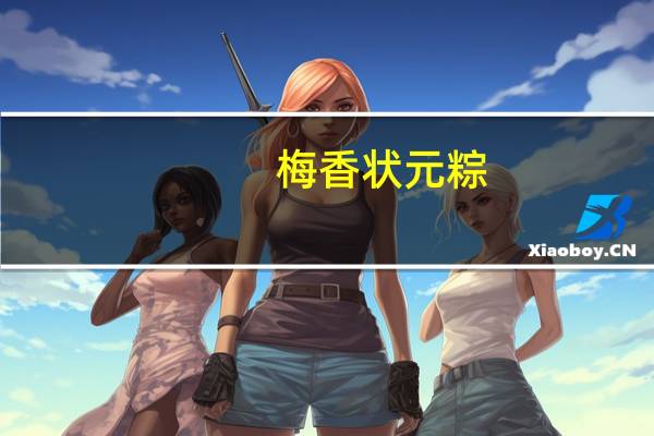 梅香状元粽(猪肉)卡路里是多少