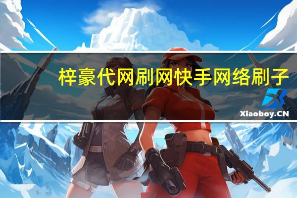 梓豪代网刷网快手 网络刷子