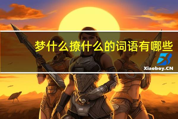 梦什么撩什么的词语有哪些?