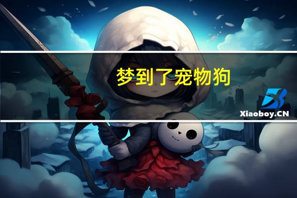 梦到了宠物狗
