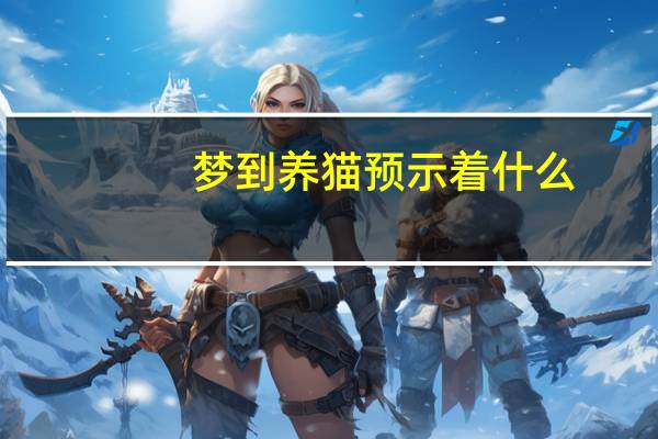 梦到养猫预示着什么