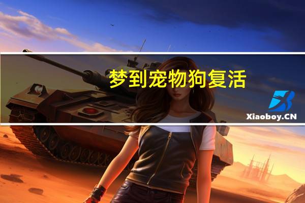 梦到宠物狗复活