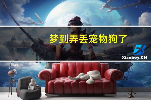 梦到弄丢宠物狗了