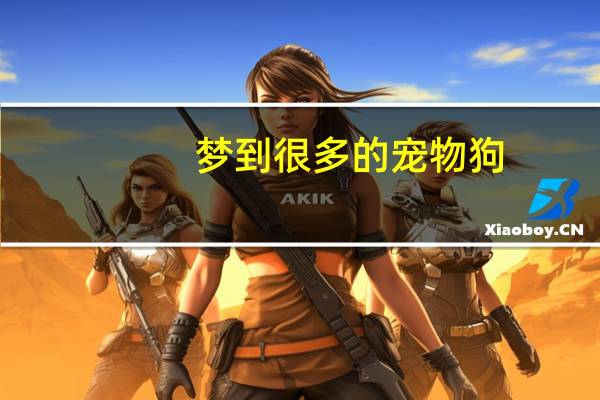 梦到很多的宠物狗