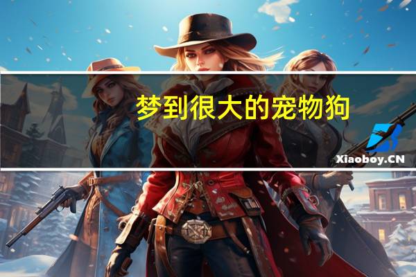 梦到很大的宠物狗